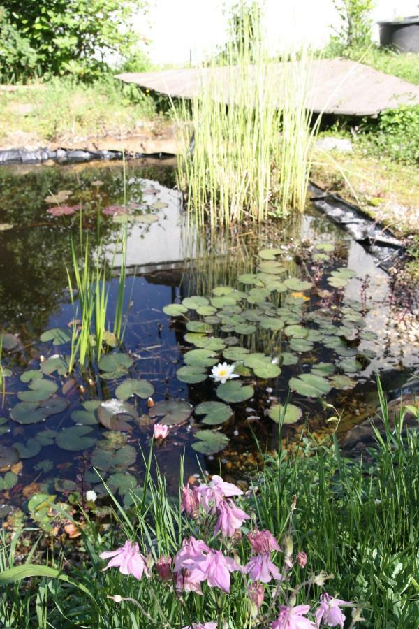 Gemütliche Gästezimmer in einem neu sanierten Fachwerkhaus Sachsenheim Exterior foto
